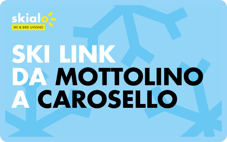 Ski Bus Livigno: Ski Link