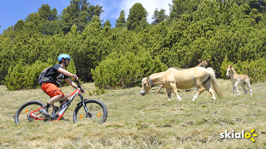 livigno what to do try an ebike